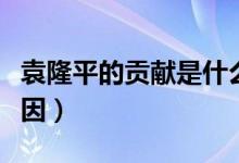 袁隆平的贡献是什么（国家不降半旗致哀的原因）