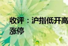 收评：沪指低开高走涨0.31%两市再现百股涨停