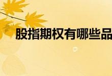 股指期权有哪些品种（什么是股指期权）