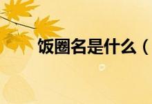 饭圈名是什么（饭圈名是什么意思）