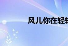 风儿你在轻轻的吹（杨小琳）