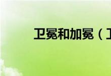 卫冕和加冕（卫冕和加冕的区别）