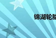  锦湖轮胎价格表一览 
