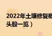 2022年土壤修复概念股有那些（土壤修复龙头股一览）