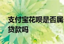 支付宝花呗是否属于贷款 使用蚂蚁花呗属于贷款吗