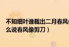 不知细叶谁裁出二月春风似剪刀为什么说春风像剪刀（为什么说春风像剪刀）