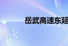  岳武高速东延线槎水有出口吗? 