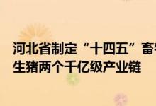 河北省制定“十四五”畜牧兽医行业发展规划重点打造奶业生猪两个千亿级产业链