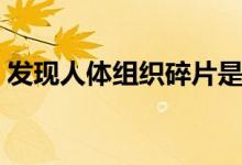 发现人体组织碎片是指骨头吗（是什么意思）