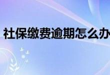 社保缴费逾期怎么办 社保断缴多久后就无效 