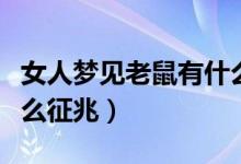 女人梦见老鼠有什么预兆（女人梦见老鼠有什么征兆）