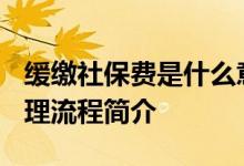 缓缴社保费是什么意思 2022年缓缴时间和办理流程简介 