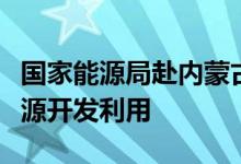 国家能源局赴内蒙古开展专题调研推动清洁能源开发利用