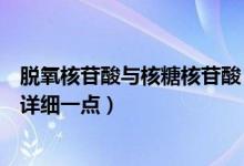 脱氧核苷酸与核糖核苷酸（脱氧核苷酸和核糖核苷酸的区别详细一点）