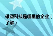 雄塑科技是哪里的企业（雄塑科技属于什么行业5分钟带你了解）