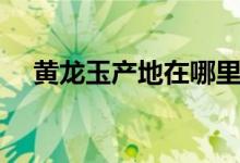 黄龙玉产地在哪里（黄龙玉产地在哪里）