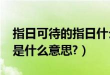 指日可待的指日什么意思（指日可待的“指”是什么意思?）