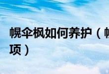 幌伞枫如何养护（幌伞枫的养殖方法和注意事项）