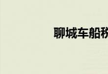  聊城车船税缴纳地址大全 