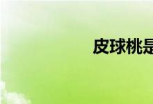  皮球桃是不是水蜜桃 