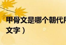甲骨文是哪个朝代用的（甲骨文是哪个朝代的文字）