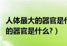 人体最大的器官是什么答案五个字（人体最大的器官是什么?）
