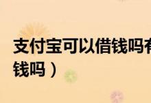 支付宝可以借钱吗有什么要求（支付宝可以借钱吗）
