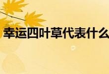 幸运四叶草代表什么（幸运四叶草代表什么）