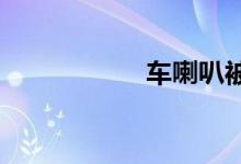  车喇叭被水淹了发闷 