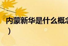 内蒙新华是什么概念（内蒙新华属于哪个板块）