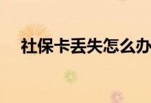 社保卡丢失怎么办 社保卡余额如何查询 