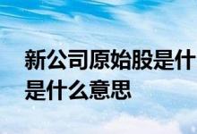 新公司原始股是什么意思 公司合股的原始股是什么意思 