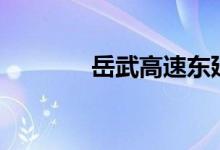  岳武高速东延设哪几个出口? 