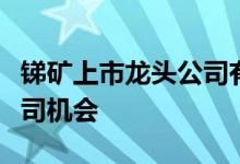 锑矿上市龙头公司有哪些把握锑矿概念上市公司机会