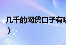 几千的网贷口子有哪些（网贷大额口子有哪些）