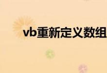 vb重新定义数组（VB怎么声明数组）
