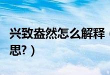 兴致盎然怎么解释（游兴盎然、饱览是什么意思?）