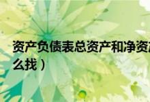 资产负债表总资产和净资产（净资产总额在资产负债表里怎么找）