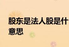 股东是法人股是什么意思 公司是法人股什么意思 