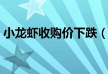 小龙虾收购价下跌（小龙虾收购价几近腰斩）