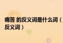 痛苦 的反义词是什么词（痛苦的反义词痛苦的反义词痛苦的反义词）