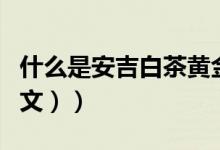 什么是安吉白茶黄金芽（什么是安吉白茶（图文））