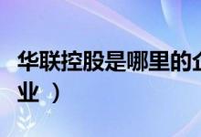 华联控股是哪里的企业（华联控股属于什么行业 ）