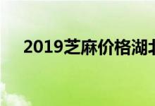 2019芝麻价格湖北（2019芝麻分借款）