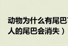 动物为什么有尾巴?（动物尾巴的作用为什么人的尾巴会消失）