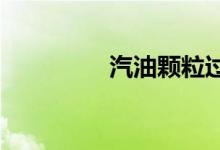  汽油颗粒过滤器指示灯亮 