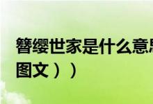 簪缨世家是什么意思（簪缨世族是什么意思（图文））
