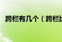 跨栏有几个（跨栏比赛中一共有多少个栏）