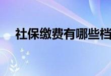 社保缴费有哪些档次 社保缴费怎么查询 