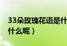 33朵玫瑰花语是什么意思（33朵玫瑰花语是什么呢）